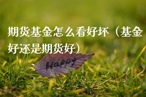 期货基金怎么看好坏（基金好还是期货好）_https://www.boyangwujin.com_黄金期货_第1张