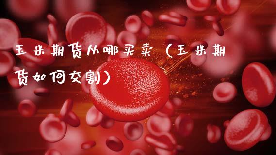 玉米期货从哪买卖（玉米期货如何交割）_https://www.boyangwujin.com_黄金期货_第1张