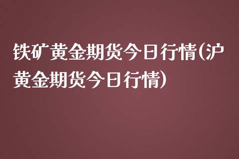 铁矿黄金期货今日行情(沪黄金期货今日行情)