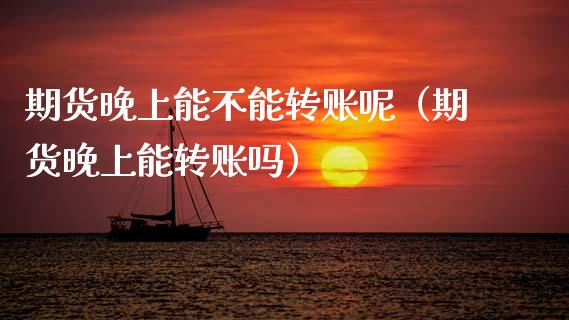 期货晚上能不能转账呢（期货晚上能转账吗）