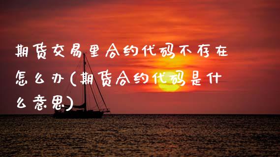 期货交易里合约代码不存在怎么办(期货合约代码是什么意思)_https://www.boyangwujin.com_白银期货_第1张