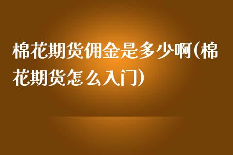 棉花期货佣金是多少啊(棉花期货怎么入门)_https://www.boyangwujin.com_黄金期货_第1张