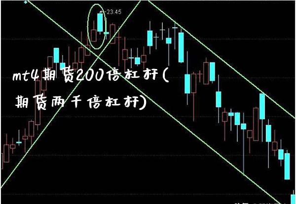 mt4期货200倍杠杆(期货两千倍杠杆)