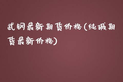 武钢最新期货价格(纯碱期货最新价格)_https://www.boyangwujin.com_纳指期货_第1张