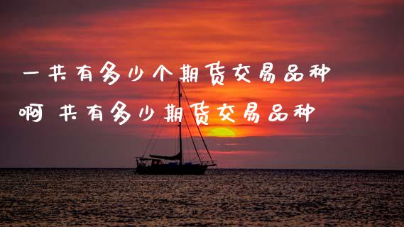 一共有多少个期货交易品种啊 共有多少期货交易品种_https://www.boyangwujin.com_道指期货_第1张
