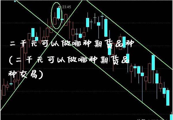 二千元可以做哪种期货品种(二千元可以做哪种期货品种交易)_https://www.boyangwujin.com_期货直播间_第1张