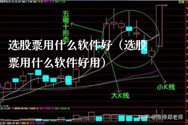 选股票用什么软件好（选股票用什么软件好用）_https://www.boyangwujin.com_黄金期货_第1张
