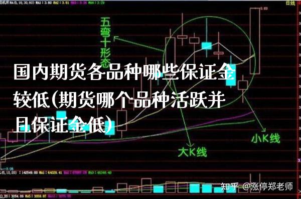 国内期货各品种哪些保证金较低(期货哪个品种活跃并且保证金低)
