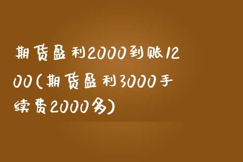 期货盈利2000到账1200(期货盈利3000手续费2000多)
