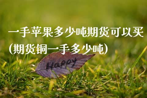 一手苹果多少吨期货可以买(期货铜一手多少吨)