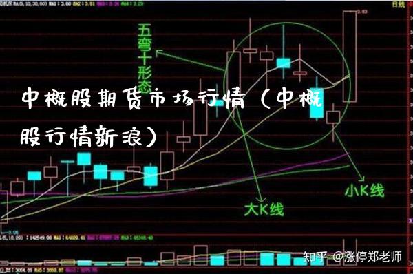 中概股期货市场行情（中概股行情新浪）