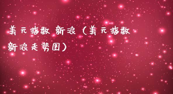 美元指数 新浪（美元指数新浪走势图）_https://www.boyangwujin.com_原油期货_第1张