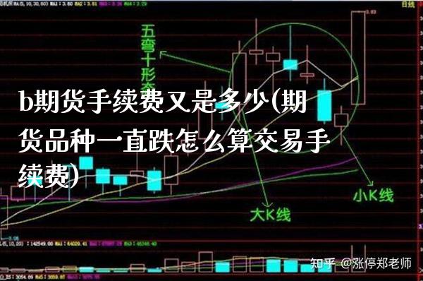 b期货手续费又是多少(期货品种一直跌怎么算交易手续费)_https://www.boyangwujin.com_期货直播间_第1张