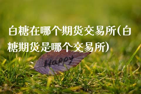 白糖在哪个期货交易所(白糖期货是哪个交易所)_https://www.boyangwujin.com_恒生指数_第1张