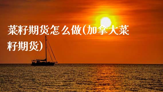 菜籽期货怎么做(加拿大菜籽期货)_https://www.boyangwujin.com_期货直播间_第1张