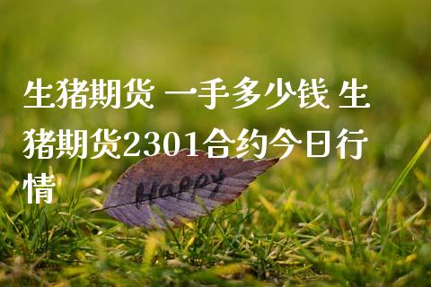 生猪期货 一手多少钱 生猪期货2301合约今日行情_https://www.boyangwujin.com_期货直播间_第1张