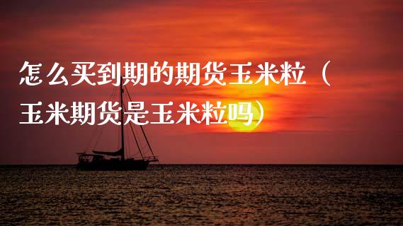 怎么买到期的期货玉米粒（玉米期货是玉米粒吗）_https://www.boyangwujin.com_纳指期货_第1张
