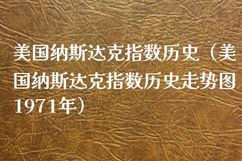美国纳斯达克指数历史（美国纳斯达克指数历史走势图1971年）