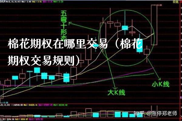 棉花期权在哪里交易（棉花期权交易规则）