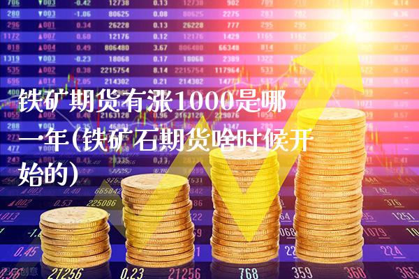 铁矿期货有涨1000是哪一年(铁矿石期货啥时候开始的)_https://www.boyangwujin.com_期货科普_第1张