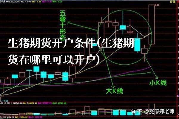生猪期货开户条件(生猪期货在哪里可以开户)_https://www.boyangwujin.com_期货直播间_第1张