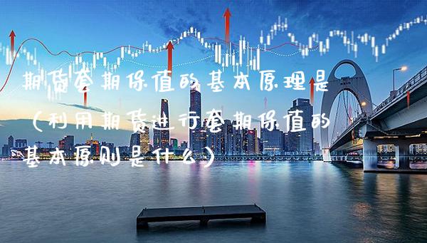 期货套期保值的基本原理是（利用期货进行套期保值的基本原则是什么）