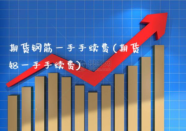期货钢筋一手手续费(期货铝一手手续费)_https://www.boyangwujin.com_期货直播间_第1张