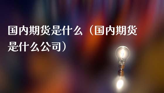 国内期货是什么（国内期货是什么公司）_https://www.boyangwujin.com_期货直播间_第1张