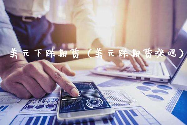美元下跌期货（美元跌期货涨吗）_https://www.boyangwujin.com_期货直播间_第1张