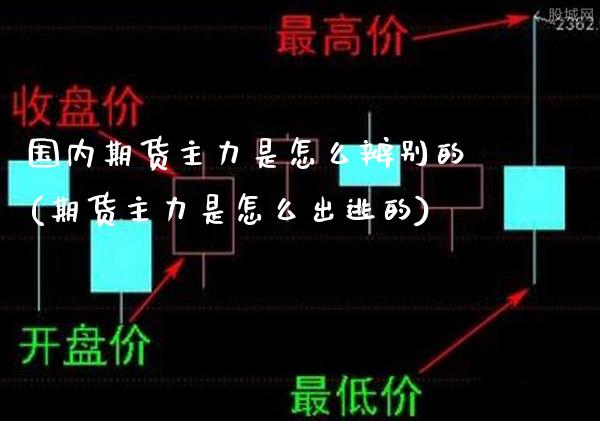 国内期货主力是怎么辨别的(期货主力是怎么出逃的)_https://www.boyangwujin.com_内盘期货_第1张