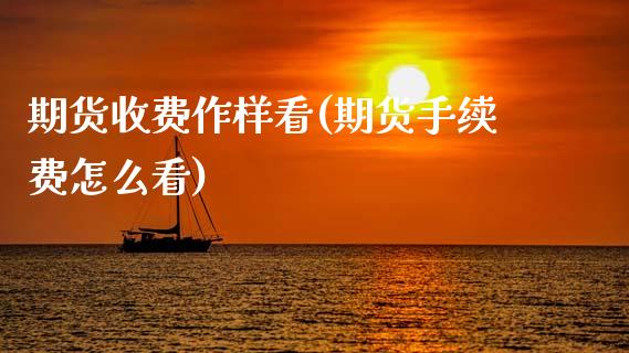 期货收费作样看(期货手续费怎么看)