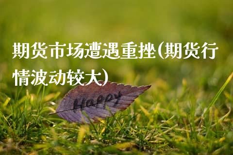 期货市场遭遇重挫(期货行情波动较大)_https://www.boyangwujin.com_恒生指数_第1张