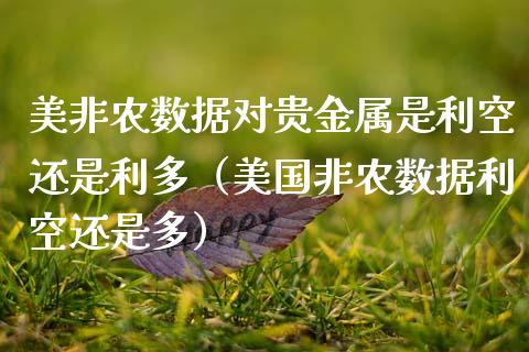 美非农数据对贵金属是利空还是利多（美国非农数据利空还是多）_https://www.boyangwujin.com_期货直播间_第1张