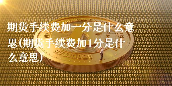 期货手续费加一分是什么意思(期货手续费加1分是什么意思)_https://www.boyangwujin.com_纳指期货_第1张