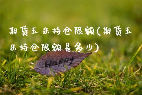 期货玉米持仓限额(期货玉米持仓限额是多少)
