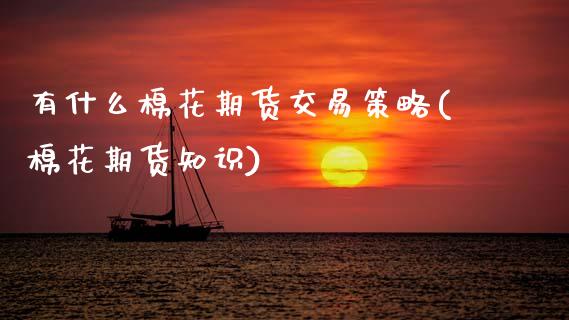 有什么棉花期货交易策略(棉花期货知识)_https://www.boyangwujin.com_恒生指数_第1张