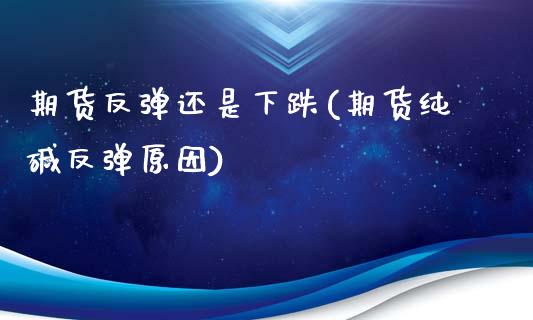期货反弹还是下跌(期货纯碱反弹原因)
