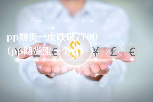 pp期货一度跌破7700(pp期货涨一个点)