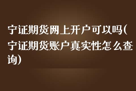 宁证期货网上开户可以吗(宁证期货账户真实性怎么查询)_https://www.boyangwujin.com_期货直播间_第1张