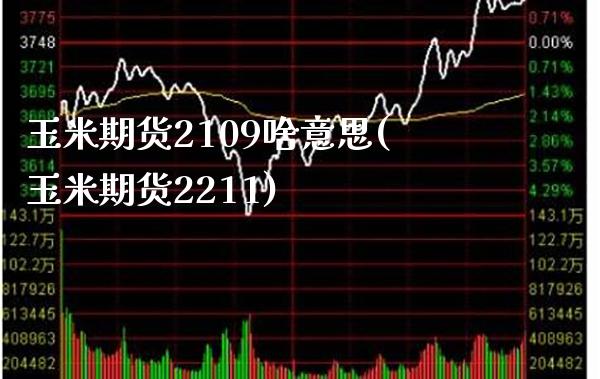 玉米期货2109啥意思(玉米期货2211)