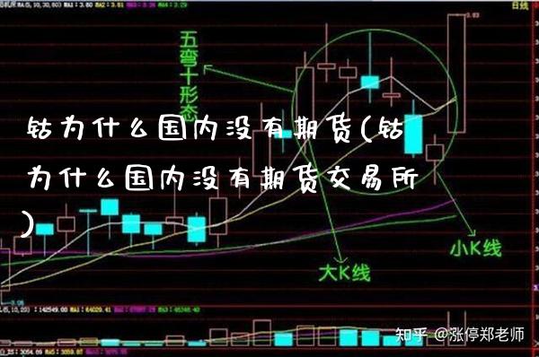 钴为什么国内没有期货(钴为什么国内没有期货交易所)