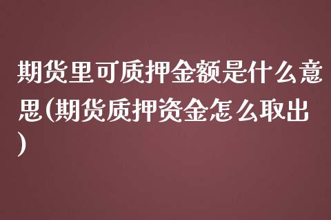 期货里可质押金额是什么意思(期货质押资金怎么取出)_https://www.boyangwujin.com_期货科普_第1张