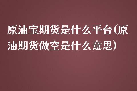 原油宝期货是什么平台(原油期货做空是什么意思)