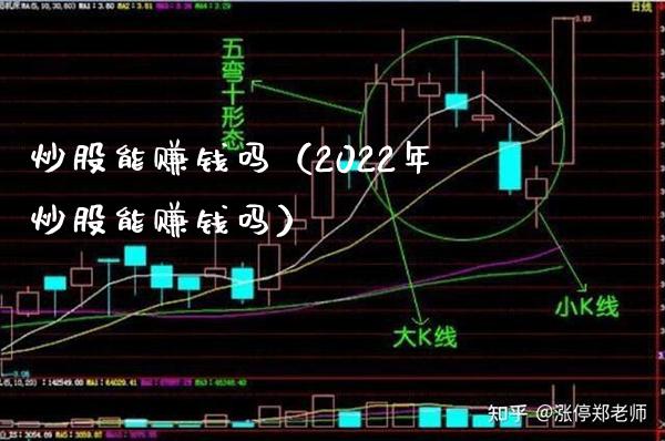 炒股能赚钱吗（2022年炒股能赚钱吗）