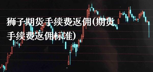 狮子期货手续费返佣(期货手续费返佣标准)