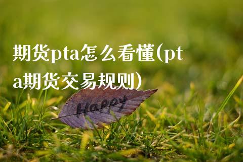 期货pta怎么看懂(pta期货交易规则)_https://www.boyangwujin.com_原油直播间_第1张