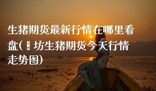 生猪期货最新行情在哪里看盘(潍坊生猪期货今天行情走势图)_https://www.boyangwujin.com_内盘期货_第1张
