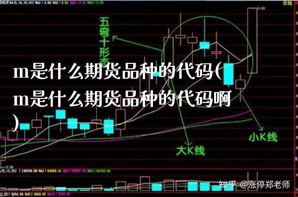 m是什么期货品种的代码(m是什么期货品种的代码啊)_https://www.boyangwujin.com_原油期货_第1张