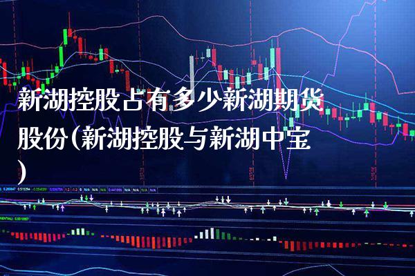 新湖控股占有多少新湖期货股份(新湖控股与新湖中宝)_https://www.boyangwujin.com_期货开户_第1张