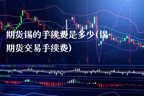 期货锡的手续费是多少(锡期货交易手续费)_https://www.boyangwujin.com_纳指期货_第1张